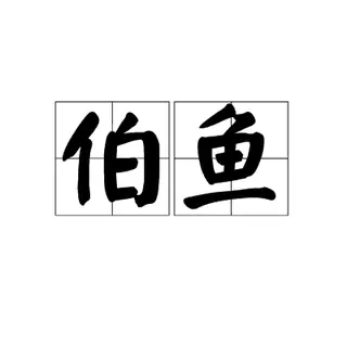 伯鱼